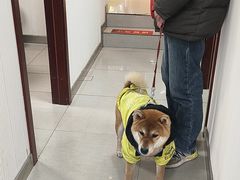 -守诺宠物医院·眼科· 神经外科·爬宠专科(虹口店)