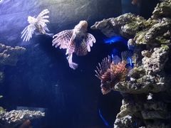 -海合安武汉极地海洋公园