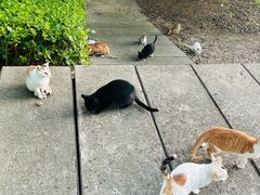 -安徽工业大学(秀山校区)