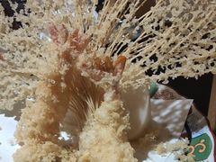 -天狗山料理(省体店)