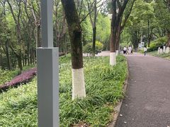 -重庆彩云湖湿地公园