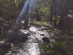 -玉渡山自然风景区