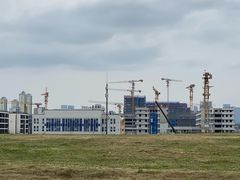 -白鹭湾湿地公园