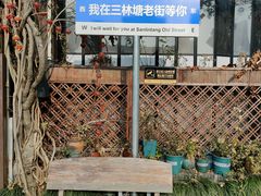-三林塘老街