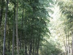 android_upload_pic-藏龙百瀑风景区