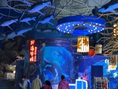 -烟台海昌鲸鲨海洋公园