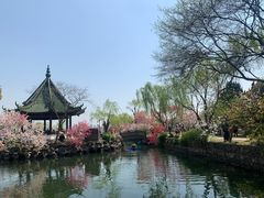 -惠山古镇·寄畅园