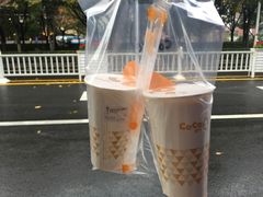 -CoCo都可(文星广场店)