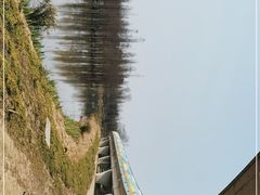 -白鹭湾湿地公园