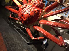 -蟹之国·精品蟹料理(极地店)