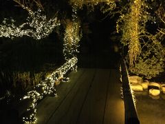 -秀丽东方