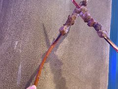 -新疆烧烤王(广灵店)