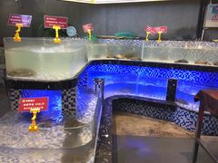 -甲鱼张甲鱼铺子(观沙岭店)