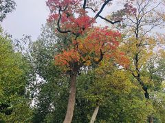 -梁鸿国家湿地公园