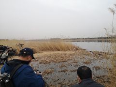 -绿堤公园