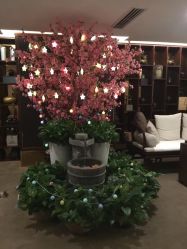 -至爱至信新中式SPA疗愈会所