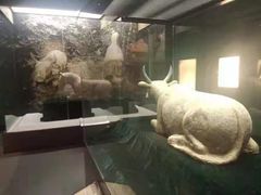 -宁夏博物馆