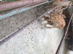 生态园-祥源·阜阳生态乐园