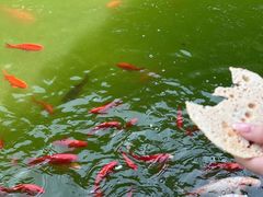 -周村古商城-状元府
