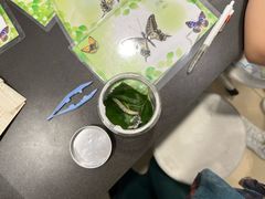 -上海昆虫博物馆