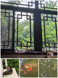 点击看大图 -莲生母婴月子中心(清水河公园店)