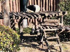 -扬州市茱萸湾风景区