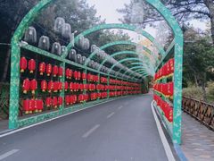 -大芦花风景区