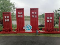 -九科绿洲