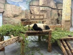 -无锡动物园·太湖欢乐园