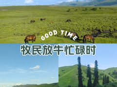 -新疆那拉提国家旅游度假区