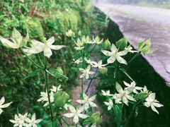 -山王坪喀斯特国家生态公园