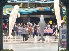 -海合安成都极地海洋公园