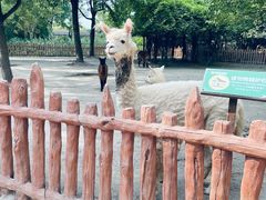 -上海野生动物园