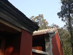 -北京上方山国家森林公园