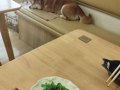 -柴の食堂·日式家庭料理·熊之肆(大学路店)