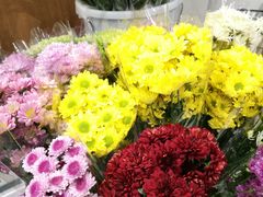 -鹿岛会员店 (龙湖三千集天街店)