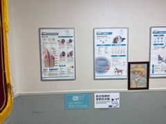 -谐和益家动物医院·免疫绝育·血液透析·宠保定点医院(高新伊藤分院)