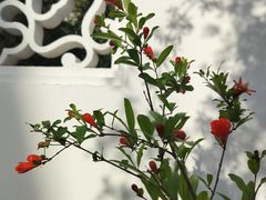 -龙华寺