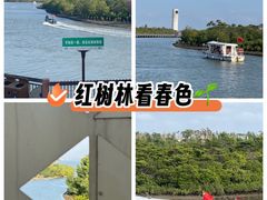 -东寨港红树林旅游区