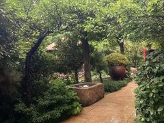 -观唐（国际）度假村温泉