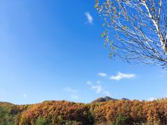 -黄椅山火山森林公园
