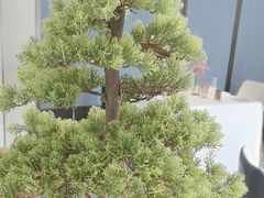 -顺峰(农展馆店)