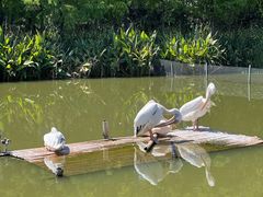 -宁波杭州湾国家湿地公园