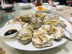 -食神鱼头佛跳墙(百子湾旗舰店)