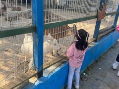 -武汉紫薇都市田园