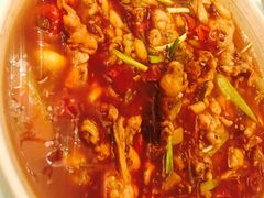 渝信麻辣馋嘴蛙-渝信川菜(工体店)