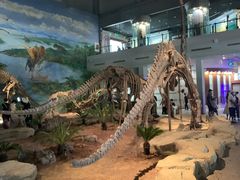 -自贡恐龙博物馆