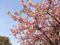 景点-台场海滨公园船码头