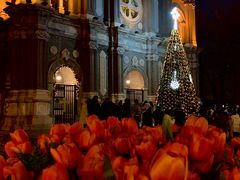 -王府井天主教堂