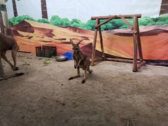 -荆州中山公园动物园